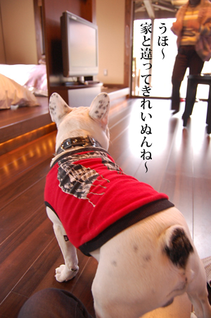 小笠原9