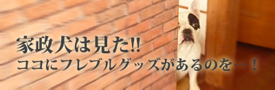 フリース2