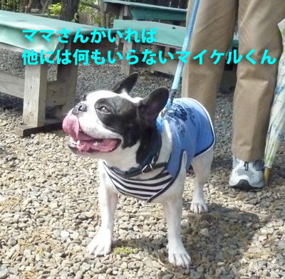 BBQ3