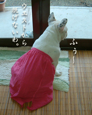 アリラン2.jpg