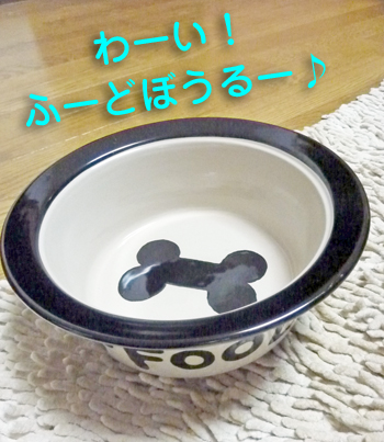 空P1