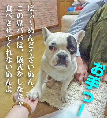 空P5