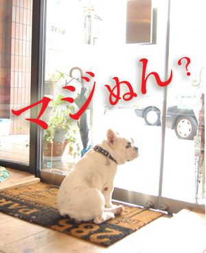 店番4