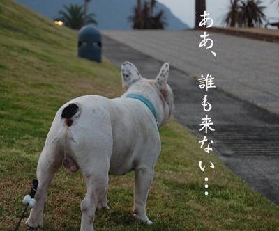 ライバル3
