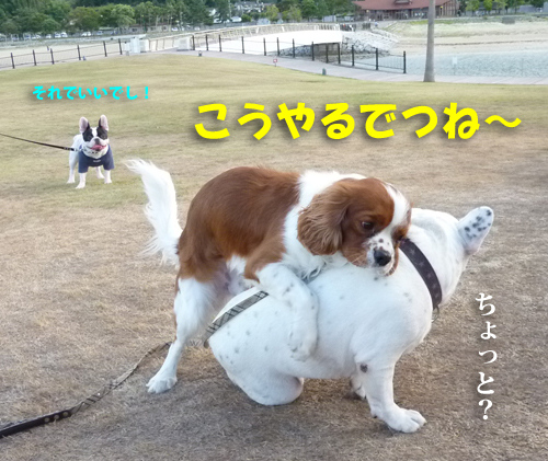 田ノ浦ポン1