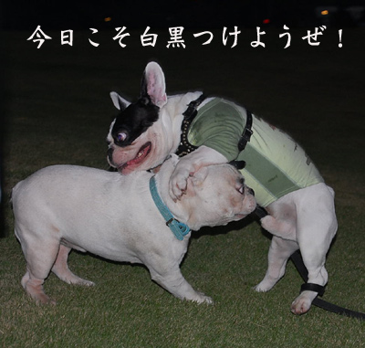 ライバル5