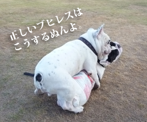 田ノ浦ポン3