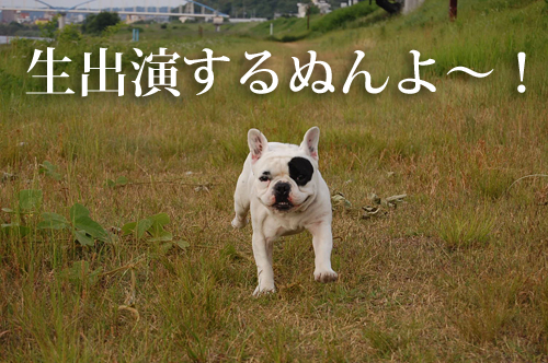 報告5