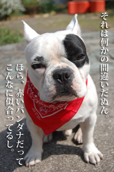 報告7