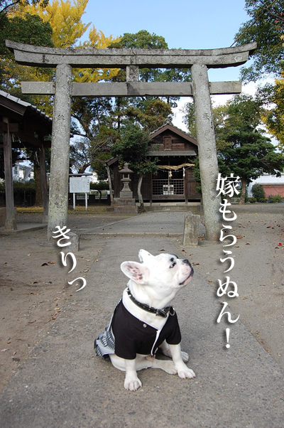 新年2