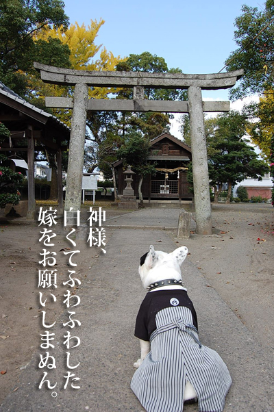 新年3