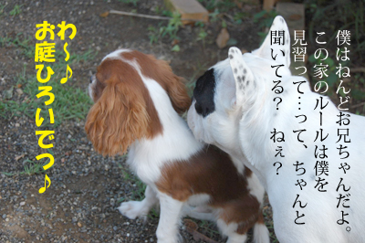 pon10