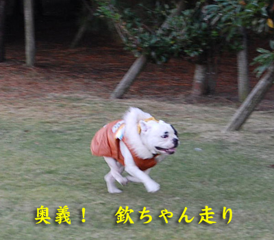 田浦.