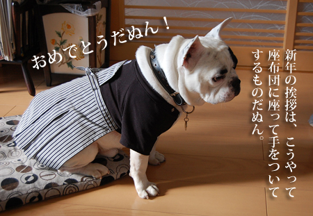 虎まん