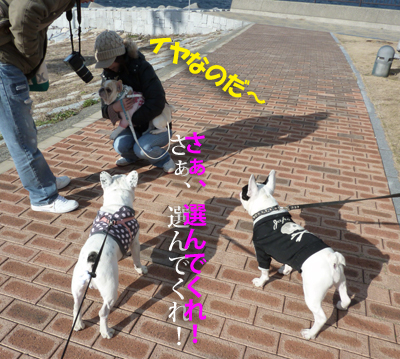 3つ巴1