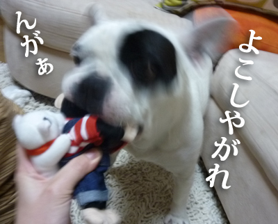 パン5.jpg