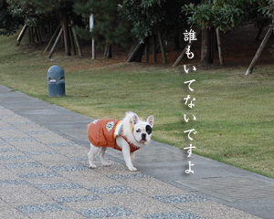 田浦5