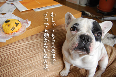 虎まん3