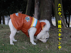 田浦7