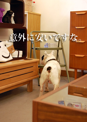 田ノ浦ナイト3