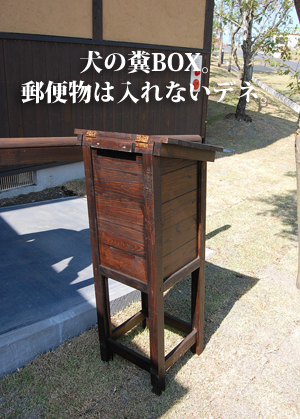 小笠原5