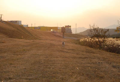 大分川3