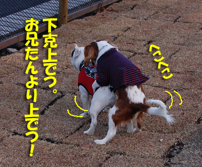 小笠原2-4