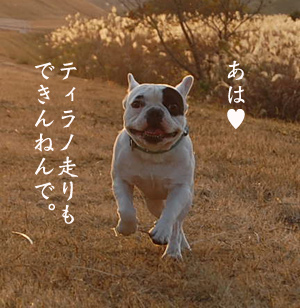 大分川6