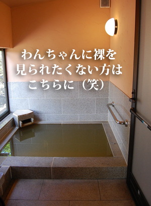 小笠原11