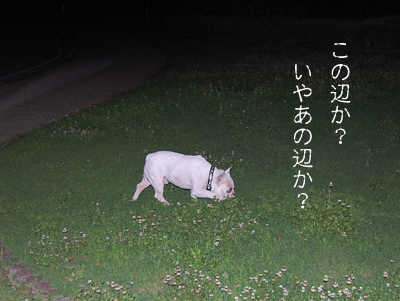 闇3