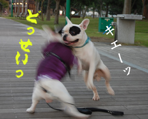 フレ1