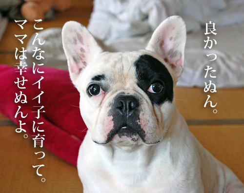生まれ1