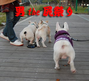 フレ3