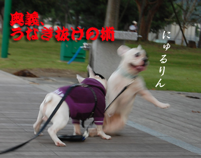 フレ5