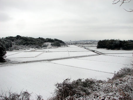 2008.2.3雪.jpg