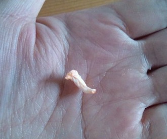 20101204111923.jpg