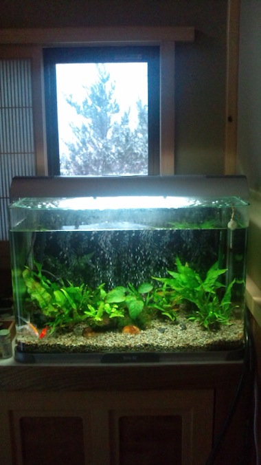 20101225074923.jpg