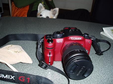 P1010134mini.JPG