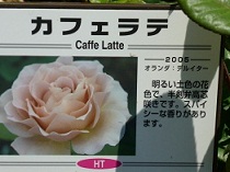 カフェラテ２.jpg