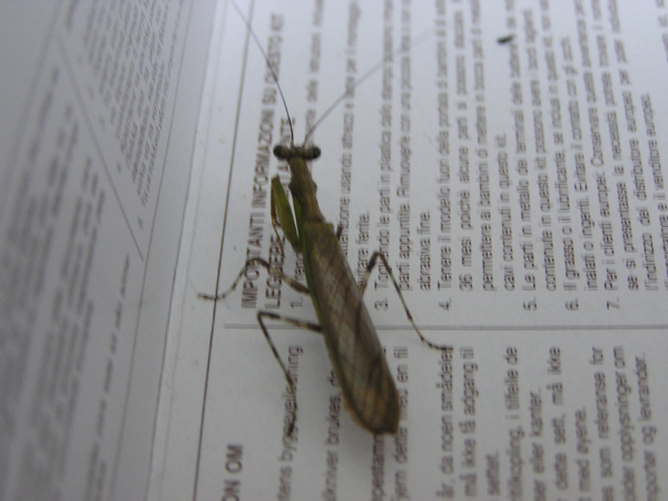 ９．２　その５