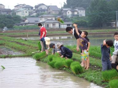 H20.6.22田植え (10).jpg