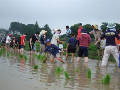 H20.6.22田植え (22).jpg