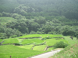 棚田の風景