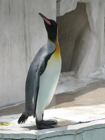 東山動物園 015.jpg