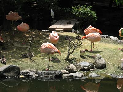 東山動物園 031.jpg