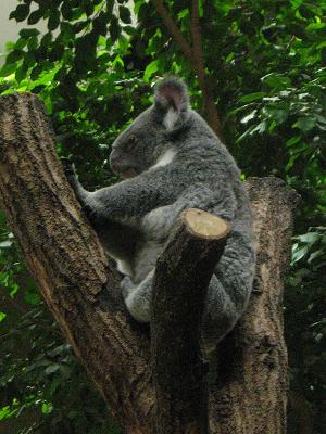 東山動物園 059.jpg