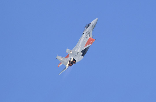 F-15J(97百里)その7
