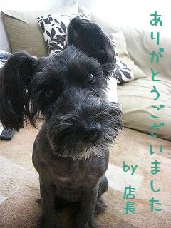 店長よりひとこと♪