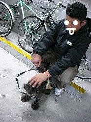 めっ！(｀ヘ´#)