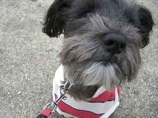 いっぱい走った!